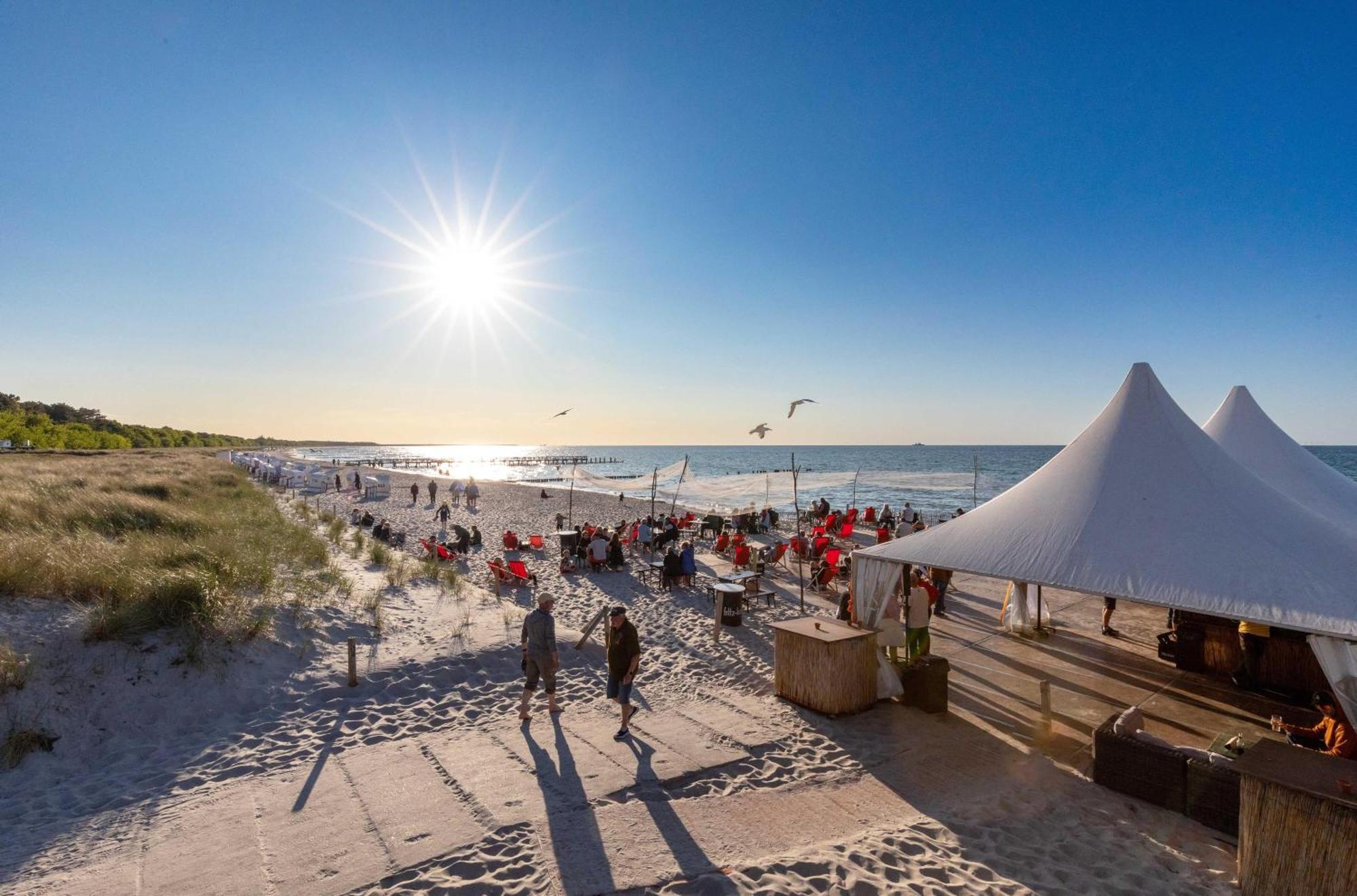 Strandhafer Ostseeheilbad Ostseeheilbad Zingst Exterior foto